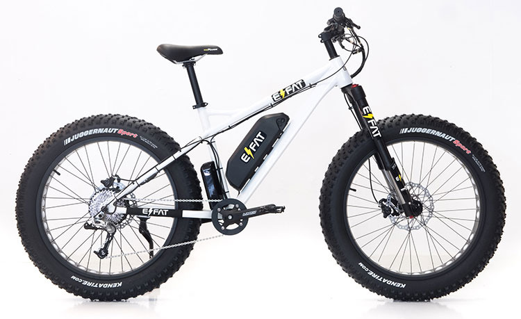 electric fat bike rentals